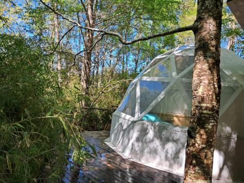 Melipeuco Apartment | Domos Conguillío - Glamping Domo