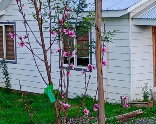 Pitrufquen House | Donde la Euli