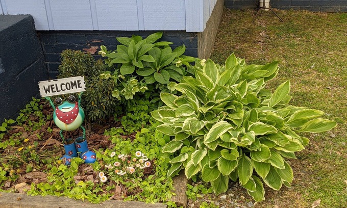Brevard House | Downtown Bungalow! Dog Friendly - WIFI!