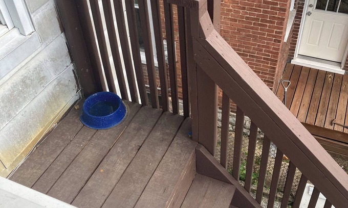 Waynesboro House | Downtown Waynesboro Home. Spacious and lovely.