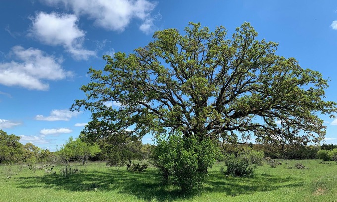 Llano RV Rental | Dry Camping! Solar Eclipse! Bring your tent!