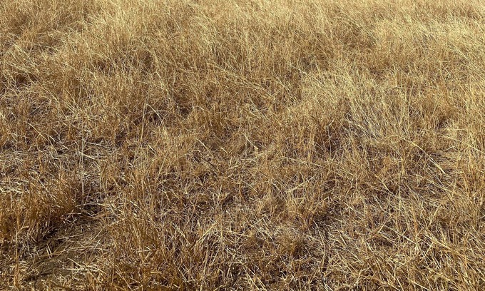 Llano RV Rental | Dry Camping! Solar eclipse! Totality! Bring your tent!