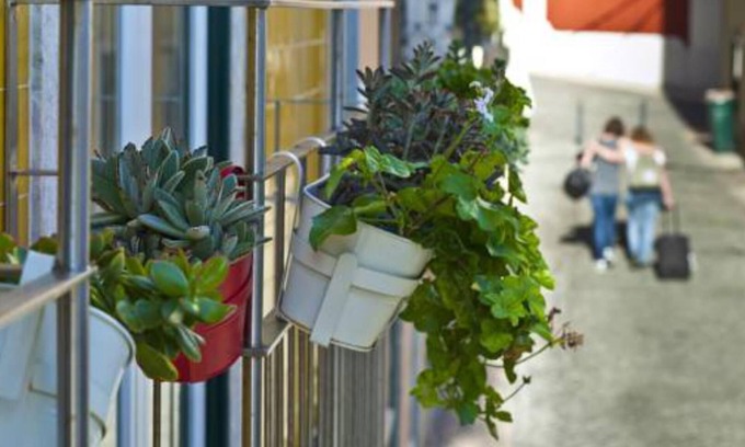 Sacramento Apartment | Duque's Apartments - Rossio 19083/AL