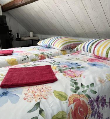 Wygielzow Apartment | Dziupla