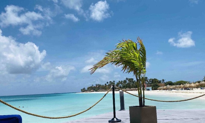 Oranjestad-West Apartment | Eagle Beach Condominiums Lime