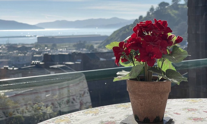 Point Richmond Condo | Easy access penthouse with dazzling nightlights & high ceilings.