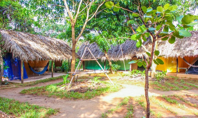 Sao Jorge Other | Ecocamping Canto da Coruja