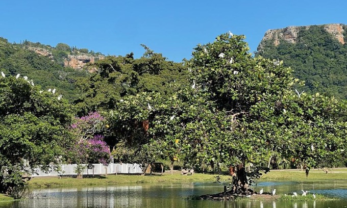 Port Edward Apartment | Eden Wilds 72