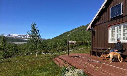 Hol House | Einsetlie by Norgesbooking - cabin by Hallingskarvet