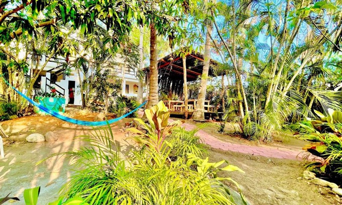 Brisas de Zicatela Hotel | El Eden Escondido