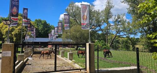 Underberg Hotel | eMkhosini Royal Sun