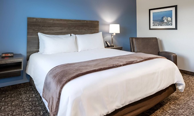 Westgate Hotel | Enjoy Full Kitchen & Outdoor BBQ Grill in a Pet-Friendly Room Near Restaurants