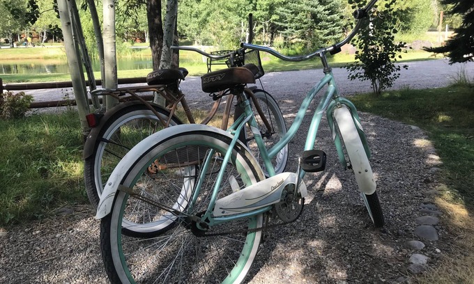 Idaho Falls Cabin | Enjoyable 1-bedroom “Mallard” Log Cabin in Ririe