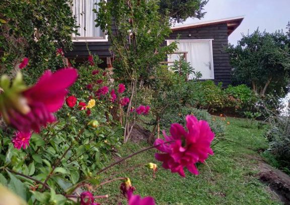 Llifen House | ESTANCIA LOS BOLDOS