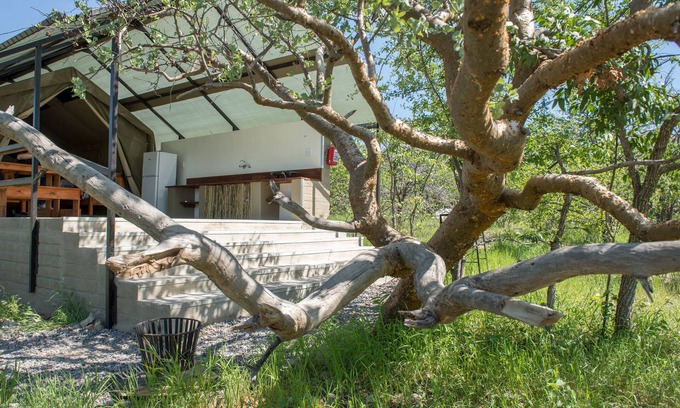 Okaukuejo Other | Etosha Safari Camping2Go