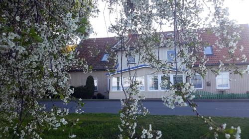 Juodkrante Apartment | Eugenijus Apartments