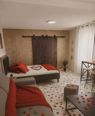 Pruniers-en-Sologne Apartment | Evasion Romantique&Jacuzzi!