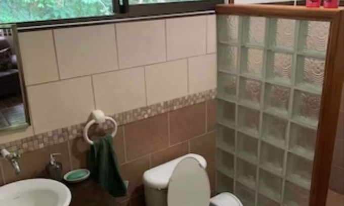 Penjamo Apartment | Experience staying in a wildlife sanctuary inside the rainforest