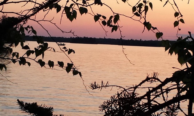 Tower Cabin | Family And Pet Friendly Island Living!