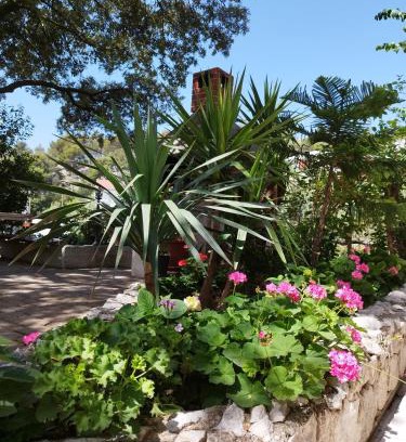 Krvavica Apartment | Family Beroš Friendly Place
