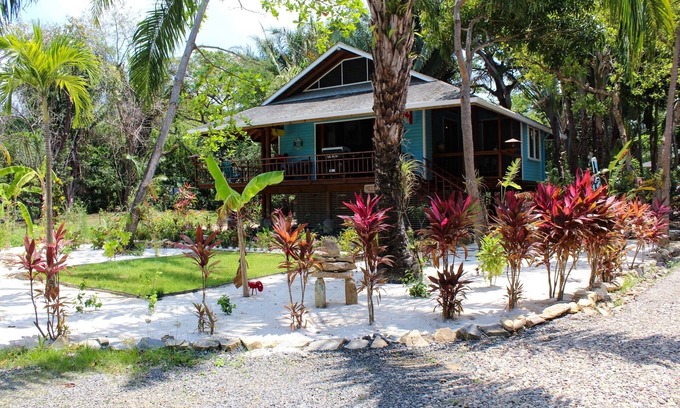Palmetto Bay House | Family Friendly Private Beach Resort, Pool, Dive Shop, Nature, Bar & Grill