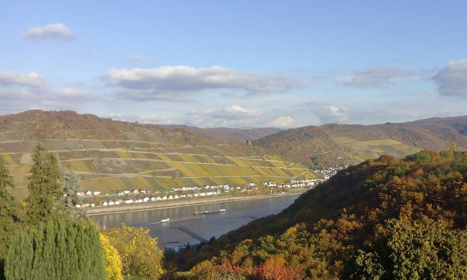 Mainz-Bingen Apartment | Fantastic view of the Rhine, high altitude of the Rhine above Bacharach, up to 6 people