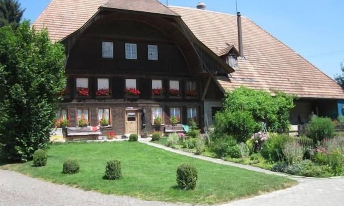 Rohrbach Other | Farm bleach