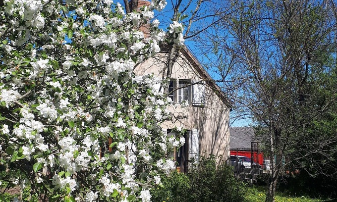 Neuville-les-Decize Other | Farm cottage with animals, cheese and nature