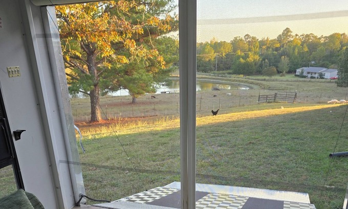 Water Valley Villa | Farm experience 3-bedroom tiny uome in Water Valley with AC -emus/donkey/cow ect