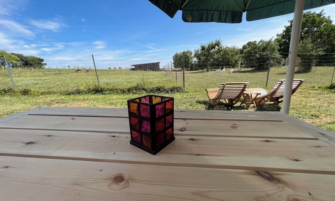 Dettenheim House | Farm glamping with alpacas and goats