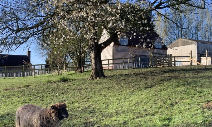 Tenbury Wells Cabin | Farm stay, dark skies, stars, stunning countryside and miles of walks.