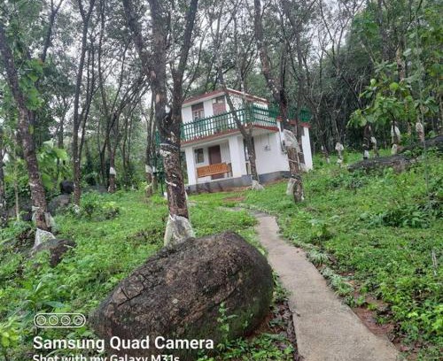 Irinjalakuda Villa | Farm stay in a coffee plantation near Athirappally