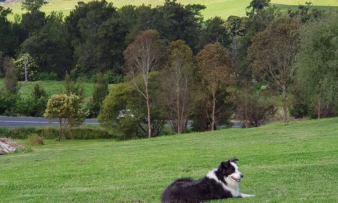 Brogo Other | Farmstay overlooking the Brogo River River with views of Mt Mumbulla.