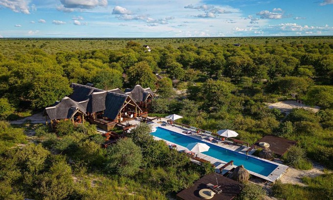 Kogu Cabin | Feline Fields The Lodge By Mantis