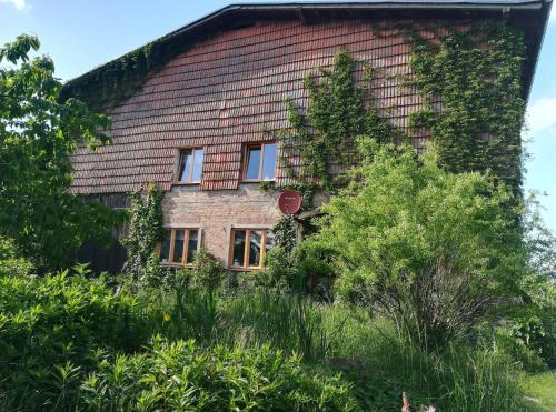 Dettmannsdorf Apartment | Ferien in der Scheune