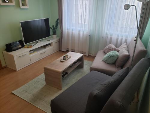Striesen Apartment | Ferienapartements Girrbach