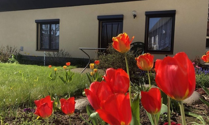 Banzkow Apartment | Ferienbungalow Familie Pohl - Holiday bungalow, shower, 1 bedroom