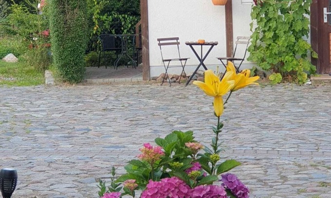 Putbus Apartment | Ferienbungalow mit 35 qm und Terasse - DTS Apartments