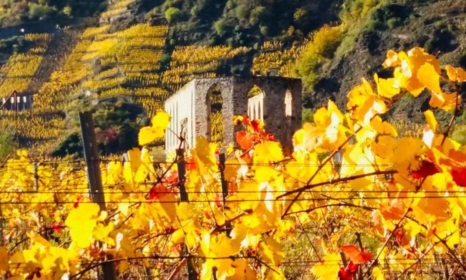 Bremm Apartment | Ferienhaus Scheid