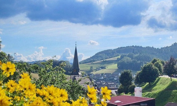 Bad Peterstal-Griesbach Apartment | Ferienwohnung am Kapellenberg - am Rande des Nationalparks Schwarzwald