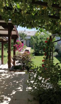 Sankt Andra am Zicksee Apartment | Ferienwohnung Maks und Kris