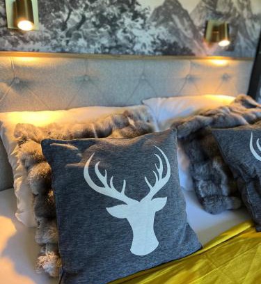 Hohenwarth Apartment | Ferienwohnung Chalet Bayrischer Wald in Villa Terrasse Bergblick Ski Sauna Arber Osser mit Hund bis 6Gäste