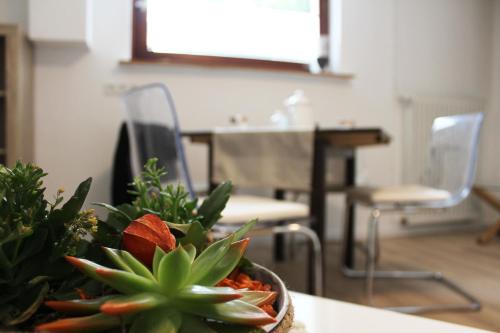 Denkte Apartment | Ferienwohnung Landlust Wolfenbüttel