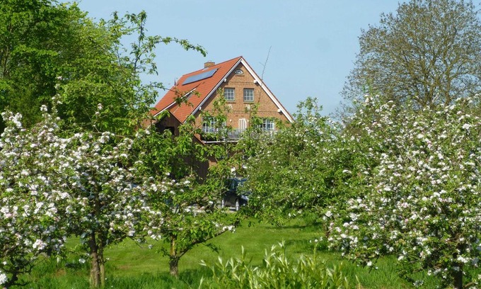 Krautsand Apartment | Ferienwohnung Obsthofblick 2 - Obsthofblick 2
