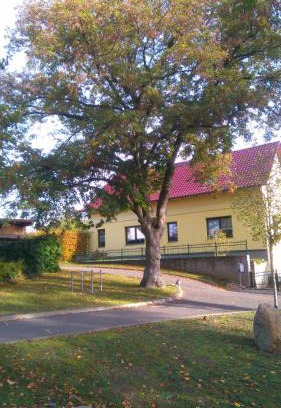 Bad Saarow Apartment | Ferienwohnung Perlitz