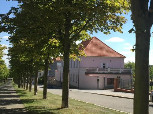 Ballenstedt Apartment | Ferienwohnung ROSA Allee34