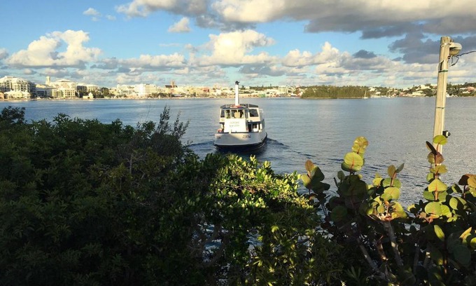 Paget Apartment | Ferry Rest - Sealandia Apartments