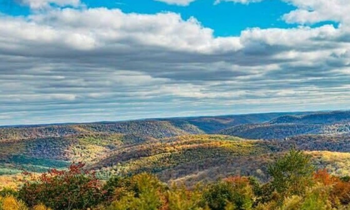 Coudersport Cabin | Fire Pit*1G WiFi*Stargazing Cottage Cherry Springs