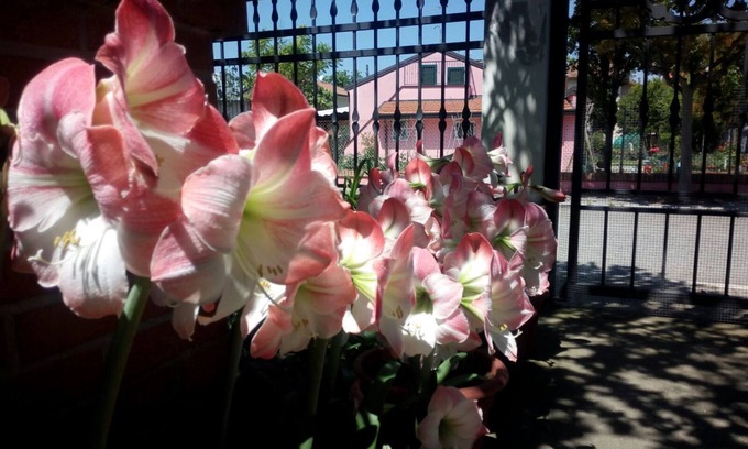 San Mauro a Mare Apartment | First floor 80sqm apartment