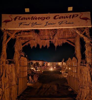 Al Fayoum Other | flamingo camp